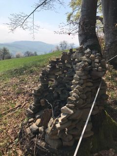 Zdjęcie z Kellner Heidi wzdłuż trasy