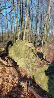 Fotografia z Jörg Rost na trase