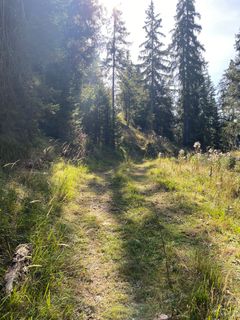 Foto von krtwss entlang der Tour