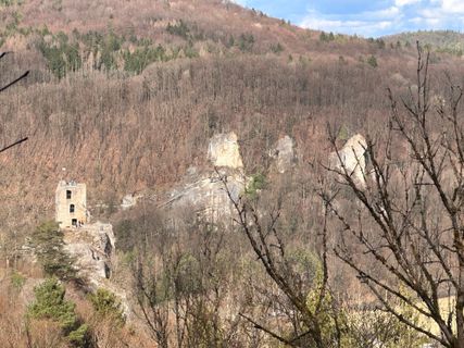 Fotografie z Norbert Herbig na trase