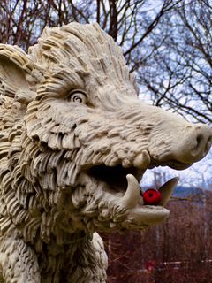 Fotografie z Kellner Heidi na trase