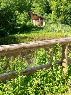 Fotografia z Kellner Heidi na trase