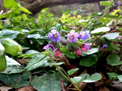 Fotografia z Antonietta Havasi na trase