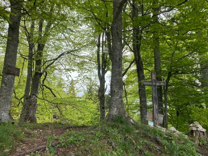 Foto von Martin Sonnleitner entlang der Tour
