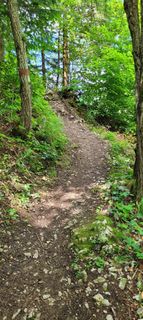Photo de Nicky le long du parcours