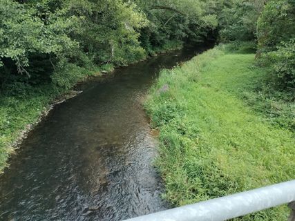 Zdjęcie z Arend Derksen wzdłuż trasy