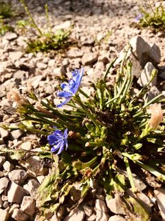 Zdjęcie z Kellner Heidi wzdłuż trasy