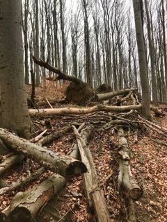 Zdjęcie z Kellner Heidi wzdłuż trasy