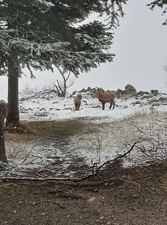 Foto von Antonietta Havasi entlang der Tour