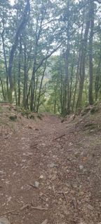 Photo de Myst Era le long du parcours