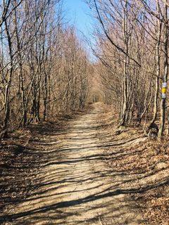 Photo de Kellner Heidi le long du parcours