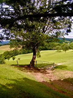 Foto von Kellner Heidi entlang der Tour