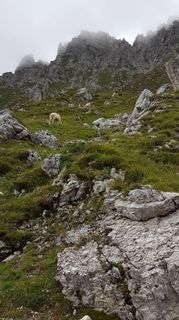 Zdjęcie z Tor Fich wzdłuż trasy