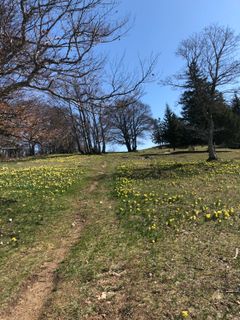 Foto de Jan Nyffenegger a lo largo del recorrido