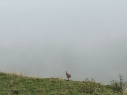 Zdjęcie z Fabio Infanti wzdłuż trasy