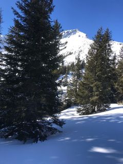 Fotografie z Heikoala na trase