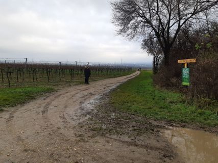 Foto von mmecki entlang der Tour