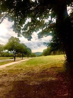 Fotografia z Kellner Heidi na trase