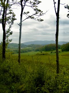 Foto von Kellner Heidi entlang der Tour