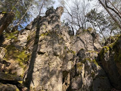 Foto de Norbert Herbig a lo largo del recorrido