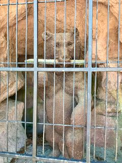 Foto von Kellner Heidi entlang der Tour