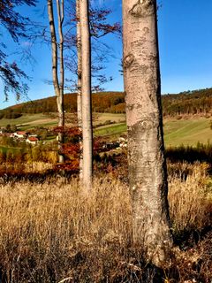 Fotografia z Kellner Heidi na trase