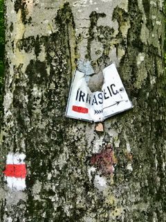 Zdjęcie z Kellner Heidi wzdłuż trasy