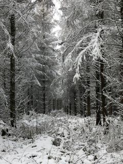 Photo de Christian Schulz le long du parcours