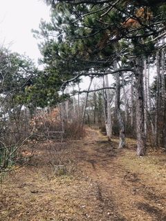 Photo de Kellner Heidi le long du parcours