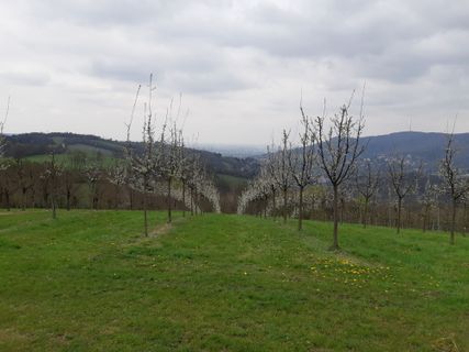 Foto von mmecki entlang der Tour