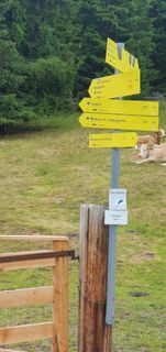 Foto von Tobias Koch 1 entlang der Tour