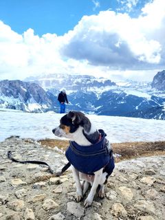 Foto von Antonietta Havasi entlang der Tour