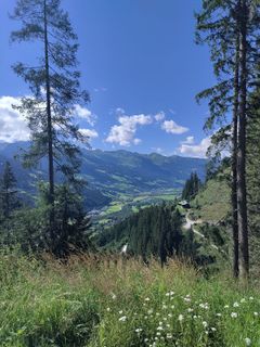 Fotografija s spletne strani Lena Eder na poti