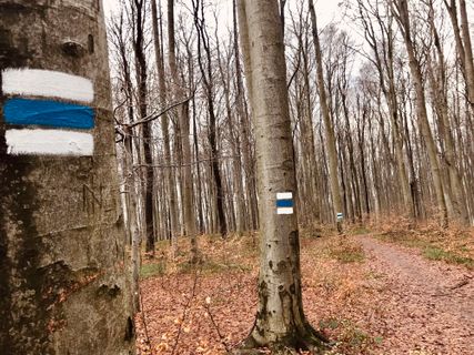 Foto de Kellner Heidi a lo largo del recorrido