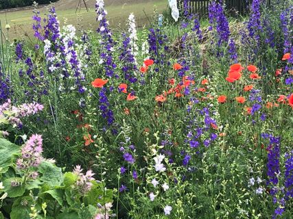 Foto de Katharina Egghart a lo largo del recorrido