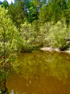 Photo de Kellner Heidi le long du parcours