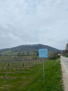 Photo de szymonek70 le long du parcours