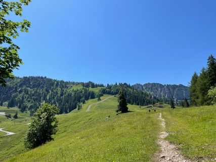 Zdjęcie z Joachim Wasserthal wzdłuż trasy