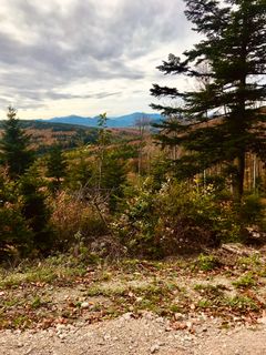 Foto von Kellner Heidi entlang der Tour