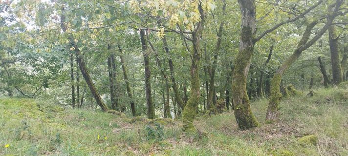 Photo de Myst Era le long du parcours