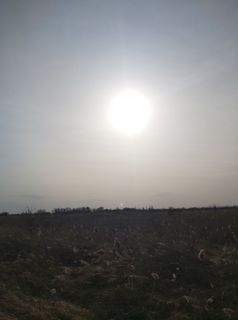Fotografija s spletne strani Antonietta Havasi na poti