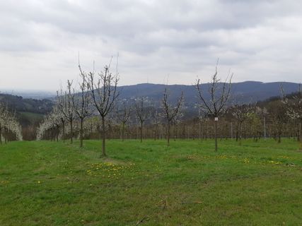 Foto von mmecki entlang der Tour