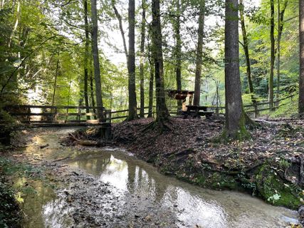 Photo de GabrielSR76 le long du parcours