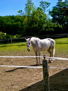 Photo de Kellner Heidi le long du parcours