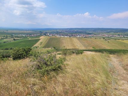 Foto von mmecki entlang der Tour