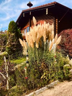 Fotografia z Kellner Heidi na trase