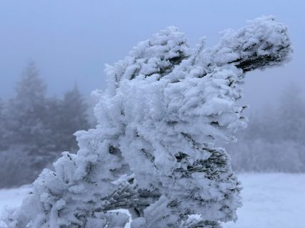 Foto von Norbert Herbig entlang der Tour
