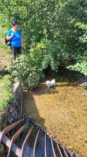 Fotografia z Gordan Hafner na trase