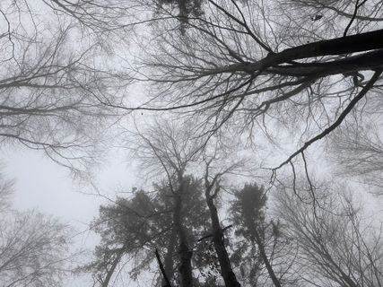 Foto de Norbert Herbig a lo largo del recorrido