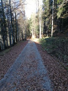 Photo de Derschowieder le long du parcours